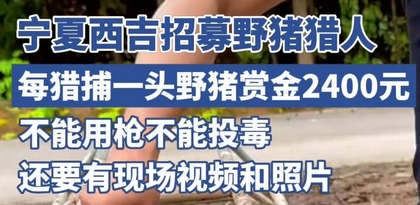新聞4